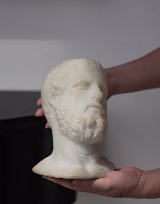 Apollo Visage – Classical Male Bust Sculpture